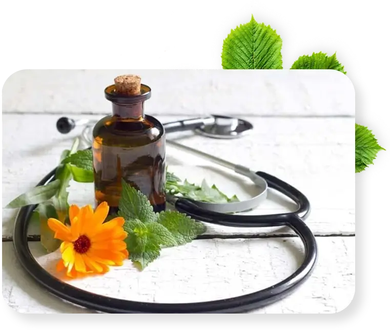 Herbal medicines with flower and leaves