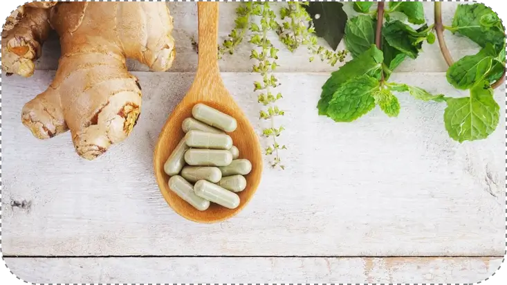 Natural medicines in the wooden spoon with ginger and mint